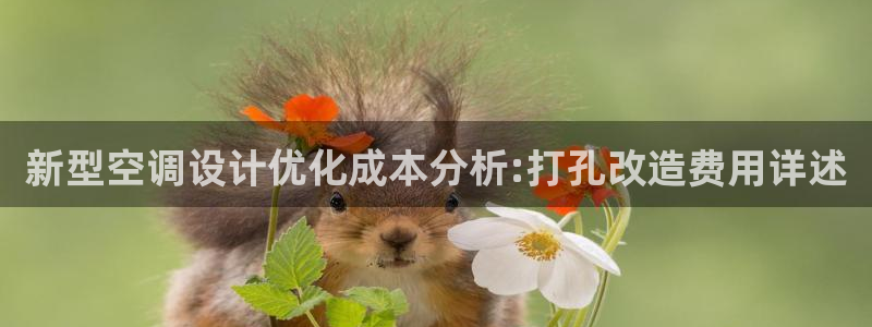 环球360假线合作