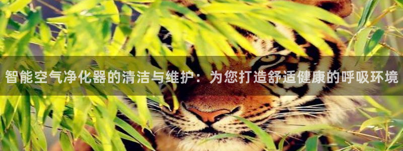 环球360官方网站下载