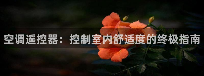 360环球国际