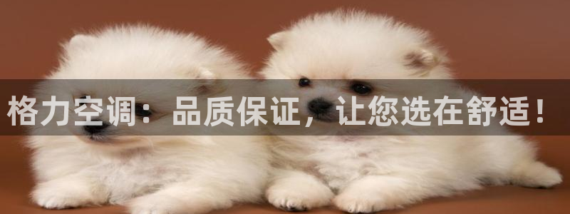 环球360是真的吗