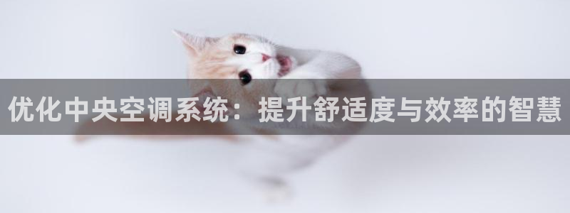 环球360官网登录页面在哪