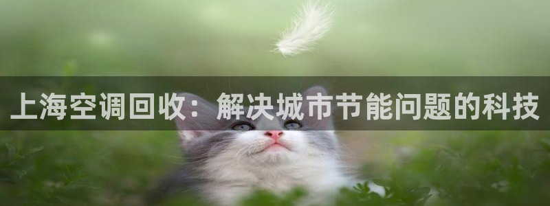 下载环球360菲律宾