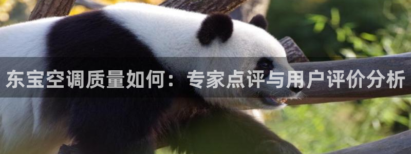 环球360平台一万分多少钱