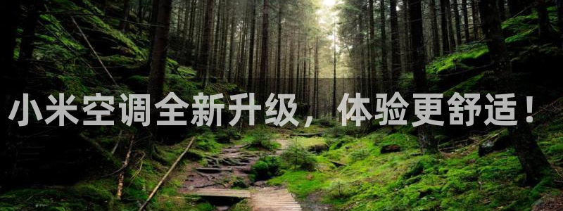 环球360官网手机版网址是多少