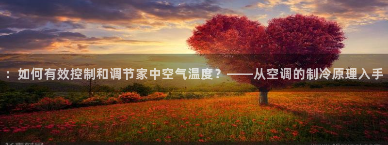 环球360飞机视频