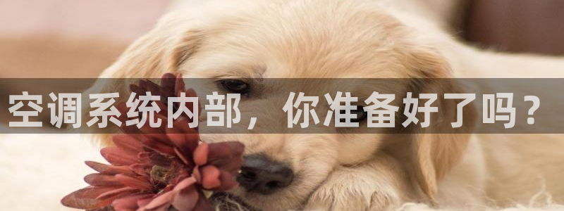 环球360飞机视频