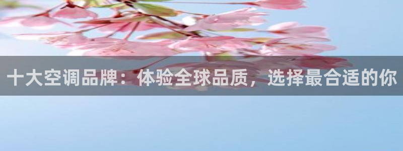 环球360网站最新官网地址是什么