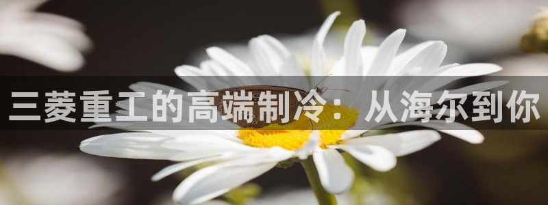 环球360网站最新官网地址