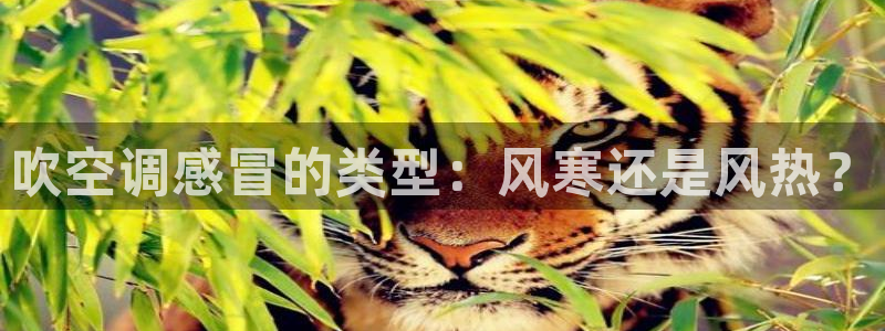 菲律宾环球360怎么样